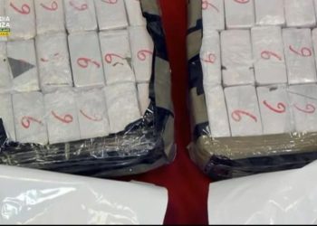 Trafikuan 27 mln euro kokainë, kush janë shqiptarët e arrestuar; Shëtisnin me Lamborghini dhe…