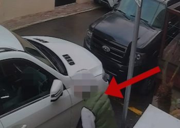 VIDEO / 22-vjeçari thyen xhamat e makinave dhe grabit mijëra euro, kapet nga policia