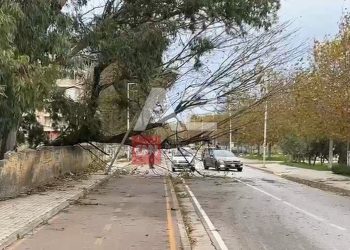 Era e fortë në Vlorë rrëzon pemët, bllokohen disa segmente rrugore