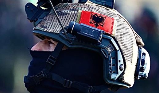 Me imazhin e veçantë  NATO uron Shqipërinë për 113 vjetorin e Pavarësisë  FOTO 