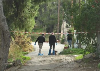 Grabitja në Salamina, autorët torturuan për vdekje të moshuarën, i biri: E masakruan me urrejtje