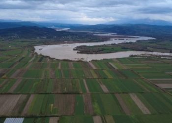 Vjosa në pikë kritike, niveli i ujit arrin në 6 metra. Lumi rrezikon të dalë nga shtrati