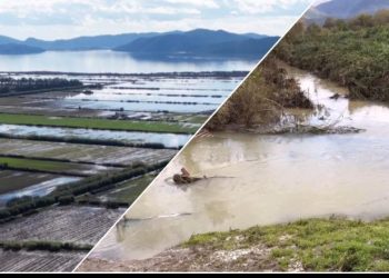 Përmbytjet/ 700 krerë bagëti e 2 mijë shpendë u mbytën në Sarandë! Nis verfikimi dëmeve në Lezhë, 300 ha ende në ujë