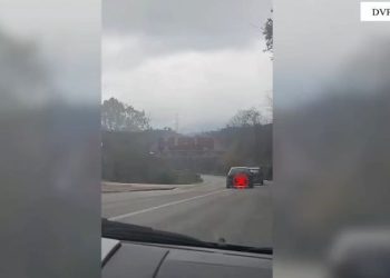 Drift dhe parakalim të gabuar, gjobiten 4 drejtues mjetesh në Elbasan