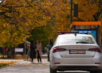 Sulmoi ish-bashkëshorten me sëpatë, policia arreston autorin