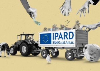 Skandal në Maqedoninë e Veriut, disa të arrestuar për abuzim me fondet IPARD