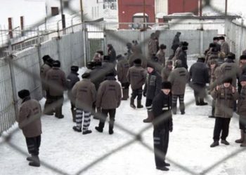 “Doktori Shpirtlig”- Ushtarëve ukrainas u fanitet tmerri i një burgu rus! Rrëfimi: Zvarritesha në dyshemenë e qelisë ndërsa më lëshonin qentë sipër!