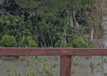 (VIDEO) Përmbytje në fshatin Trevllazër, lumi Vjosa vërshon në tokat bujqësore