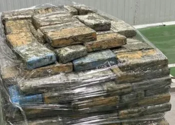 Drejtohej nga një shqiptar, “çmontohet” rrjeti i trafikut të kokainës/ Sekuestrohen mbi 9 ton drogë në dy portet spanjolle