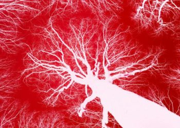 E rrallë/ Studiuesit krijojnë mikrorobotë që notojnë në gjak për të parandaluar goditje në tru