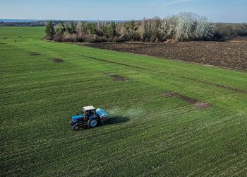 TVSH 10% për fermerët me NIPT, kush përfiton dhe si do të funksionojë skema e re