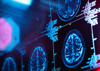 Pesë fazat e zhvillimit të trurit. Çfarë ndodh nga fëmijëria deri në pleqëri?!