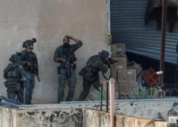 Pamje tronditëse, palestinezët e paarmatosur ekzekutohen nga forcat izraelite në Jenin