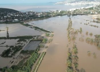 Dëmet nga përmbytjet/ Në fshatin Çukë, mbyten 500 krerë bagëti! Dëmtohet fabrika e përpunimit të kërmillit dhe ferma në Maliq..