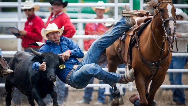 Ata që duan t i ikin gjykimit të 21 janarit 