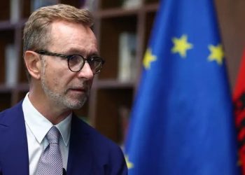 Sulmoi ambasadorin e BE, shoqëria civile reagon ndaj Berishës: U tregove diskriminues!