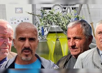 Fermerët paralajmërojnë më pak vaj ulliri në treg, rendiment i ulët, por cilësi e lartë