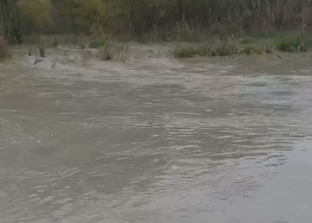 Lumi Vjosë në pikë kritike nga prurjet, banorët: I lutemi Zotit të mos ketë përmbytje