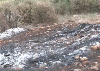 Misteri i trupit të djegur në një makinë në Athinë, policia: Mjeti qëndroi aty për më shumë se 48 orë, proçes i vështirë identifikimi..