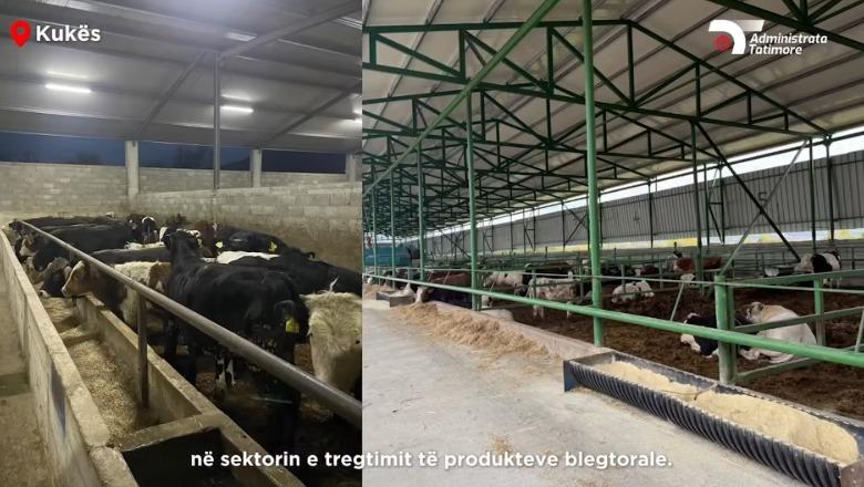 Nuk deklaruan 10 milionë euro të ardhura  Tatimet zbarkojnë në Kukës  Kavajë e Fier  Respektoni ligjin 