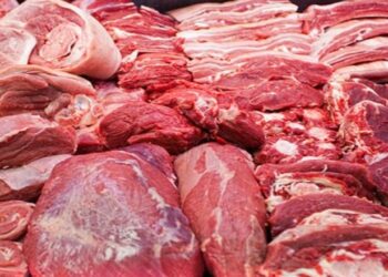 Evidentohen mbi 4 mijë ton mish të padeklaruar dhe miliona euro të fshehura! Subjekti tregtar referohet në Prokurorinë e Tiranës