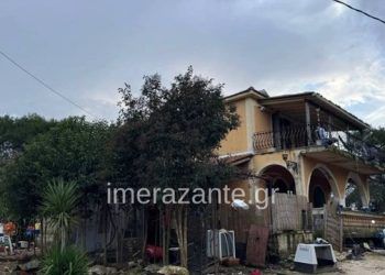 “Babi eja”/ Qeni kafshoi 2-vjeçarin, babai shqiptar: Im bir më pa, buzëqeshi dhe mbylli sytë përgjithmonë