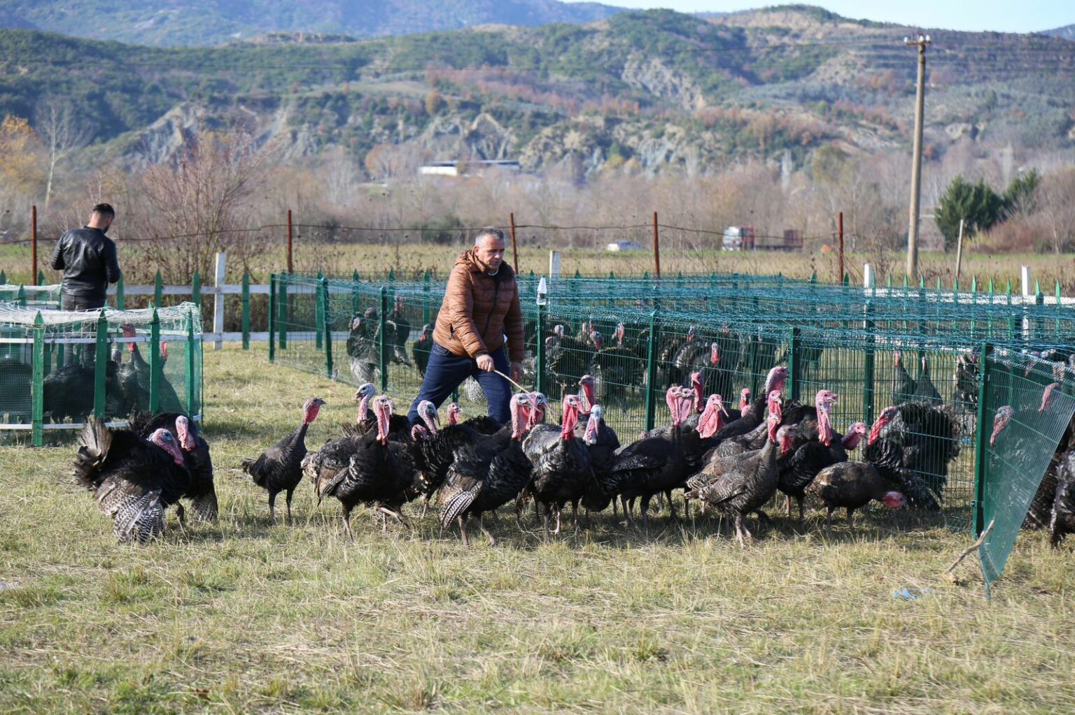 Hapet tregu i shpendëve në Baldushk  tradita e fundvitit që mbledh qytetarët e Tiranës