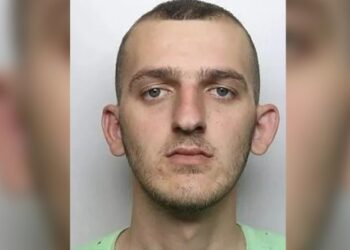 Shqiptari i dënuar për kultivim droge i shpëton deportimit nga Britania e Madhe falë të dashurës së tij