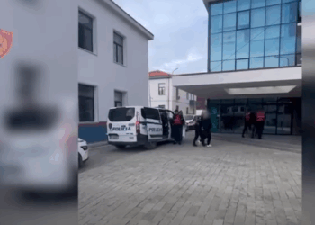 Finalizohet “Border” në Elbasan, 3 në pranga për trafik, turku rezultoi i kërkuar për krime të rënda