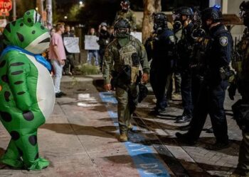 Nga Pepe te protestat anti-ICE, si u shndërrua bretkosa meme e ekstremit të djathtë kundër Trump