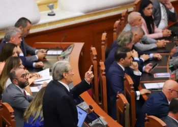 “Thonë se bënë gabim që hodhën firmat, po pse?”/ Akademiku Fuga për Avokatin e Popullit: Ishin të dehur? Kanë marrë lekë?