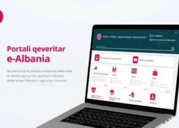 E-Albania del jashtë funksionit, autoritetet: Operacion mirëmbajtjeje/ Aleanca e Profesionistëve të Lirë: Pse ndodhi?
