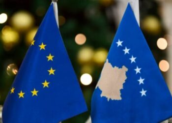 Fitorja e Albin Kurtit në zgjedhje, BE apel për formimin e shpejtë të institucioneve në Kosovë