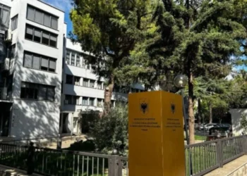 “Ore ça ka ky qeni që flet?”- Grupi kriminal me 22 persona të arrestuar, si ranë në kurthin e policëve të infiltruar! (Dosja)