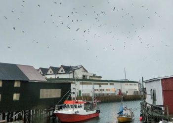 Ishulli që shfuqizoi kohën, banorët jetojnë pa orë dhe orare