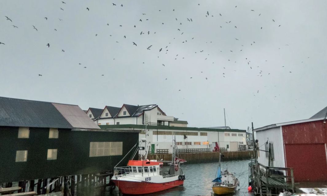 Ishulli që shfuqizoi kohën  banorët jetojnë pa orë dhe orare