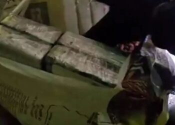 VIDEO/ Kapen 435 kg kokainë me vlerë 70 mln euro! Nuhatja e qenve zbuloi ngarkesën që vinte nga Amerika Latine, ja ku ishte fshehur…
