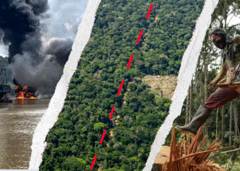 “Kokainë, ar dhe mish: si Amazona kolumbiane u shndërrua në një biznes fitimprurës për rrjetet kriminale”