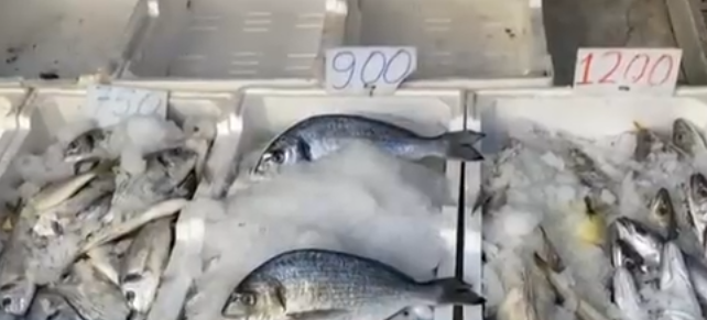 Kriza me ujin në Vlorë   Jemi gropë për Vitin e Ri   peshkatari  E kemi  dhuratë  nga Edi Rama 