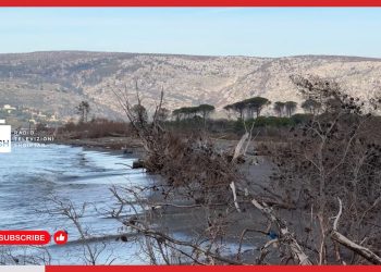 Erozioni detar “përpin” bregdetin e Kunes-Stuhitë e fundit rrëzojnë pisha të tjera, deti bashkohet me lagunën herë pas here