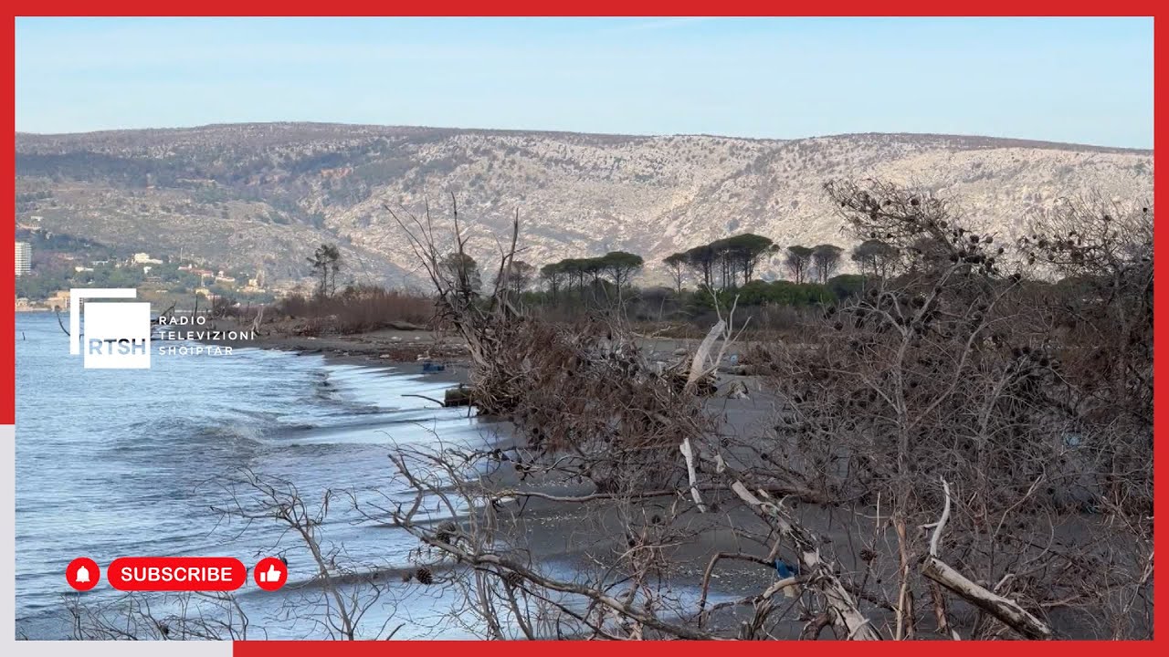 Erozioni detar  përpin  bregdetin e Kunes Stuhitë e fundit rrëzojnë pisha të tjera  deti bashkohet me lagunën herë pas here