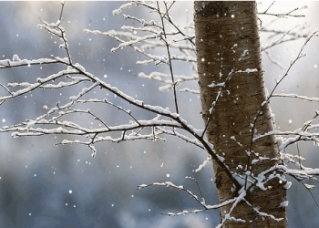 Moti me diell mbizotëron në të gjithë vendin, ulen ndjeshëm temperaturat