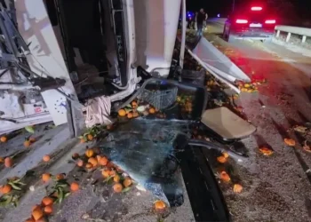 Kamioni i ngarkuar me agrume del nga rruga në aksin Levan-Tepelenë, lëndohet shoferi