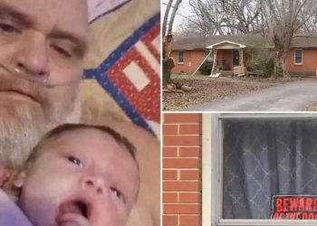 Tragjedi e rëndë, gjyshi e mbesa 3-muajshe sulmohen për vdekje nga qentë pitbull të familjes