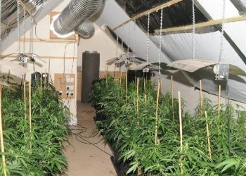 “Fëmijët shqiptarë përfundojnë në shtëpi bari”, alarmi që ngre avokati shqiptar në Angli