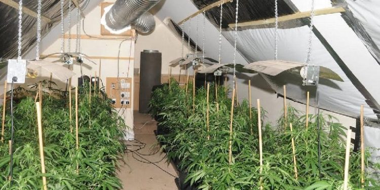 “Fëmijët shqiptarë përfundojnë në shtëpi bari”, alarmi që ngre avokati shqiptar në Angli