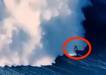 VIDEO/ Momenti tronditës kur vala gjigante e dallgëve përpin në pak sekonda sërfistin profesionist