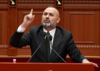 “Ne s’i njohim as lepurin e Surrelit, as ujkun e Cërrikut”, Manja: PD e ka kthyer Avokatin e Popullit në vend pune