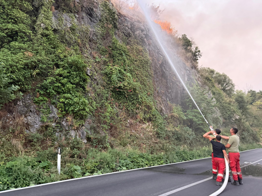 191 5 mln lekë për dëmet nga zjarret  nis kompensimi për 10 bashki