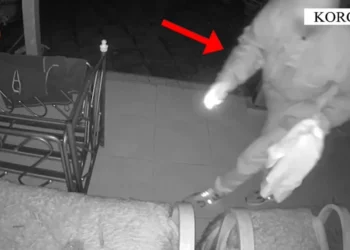 Nuk heq dorë nga grabitjet 38-vjeçari nga Korça, arrestohet sërish për vjedhjen e 5 banesave